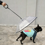 Parapluie transparent réglable pour animaux de compagnie, idéal pour la pluie et les promenades avec un chien ? Laisse