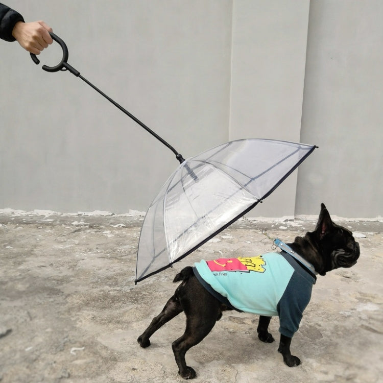 Parapluie transparent réglable pour animaux de compagnie, idéal pour la pluie et les promenades avec un chien ? Laisse