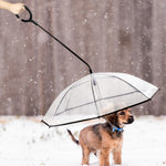 Parapluie transparent réglable pour animaux de compagnie, idéal pour la pluie et les promenades avec un chien ? Laisse