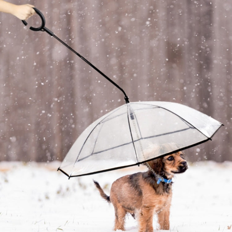 Parapluie transparent réglable pour animaux de compagnie, idéal pour la pluie et les promenades avec un chien ? Laisse