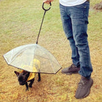 Parapluie transparent réglable pour animaux de compagnie, idéal pour la pluie et les promenades avec un chien ? Laisse