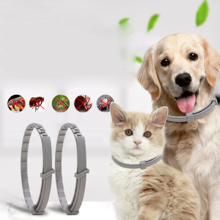 Collier anti-puces et anti-poux pour animaux de compagnie, anneau anti-insectes in vitro pour animaux de compagnie