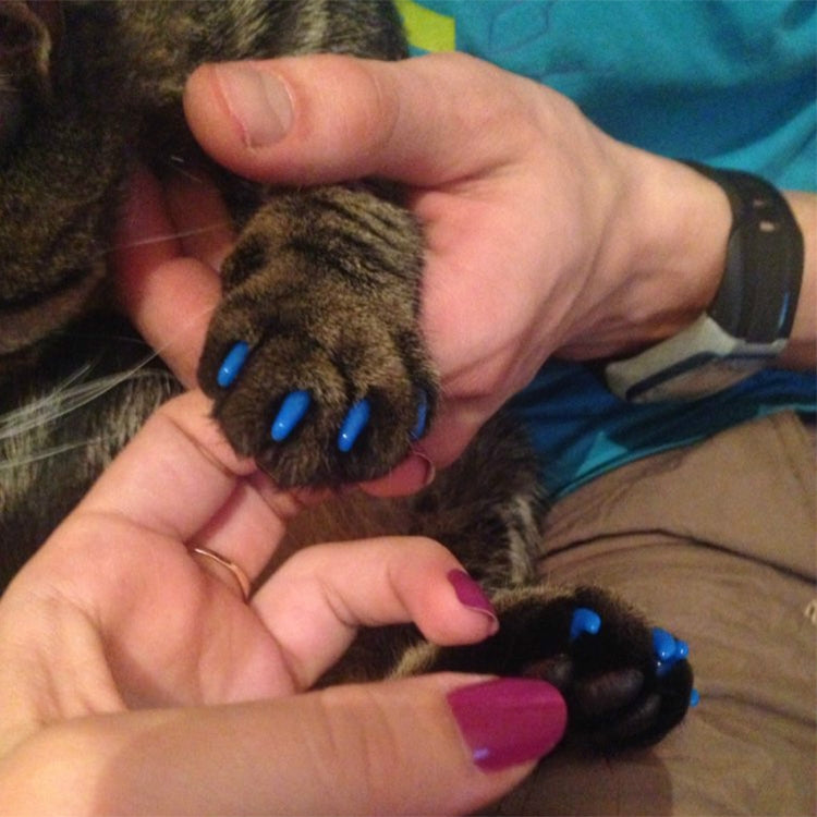 デフォルトの代替テキスト