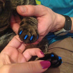 20 PCS Silicone Soft Cat Nail Caps / Cat Paw Claw / Pet Nail Protector/Cat Nail Cover, XS, S, L