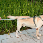 Dog Outdoor Anti-Scourge Traction Rope Nylon Reflective Elastic Stretch Dog Walking Rope, Elastic Stretch Yellow, Elastic Stretch Green