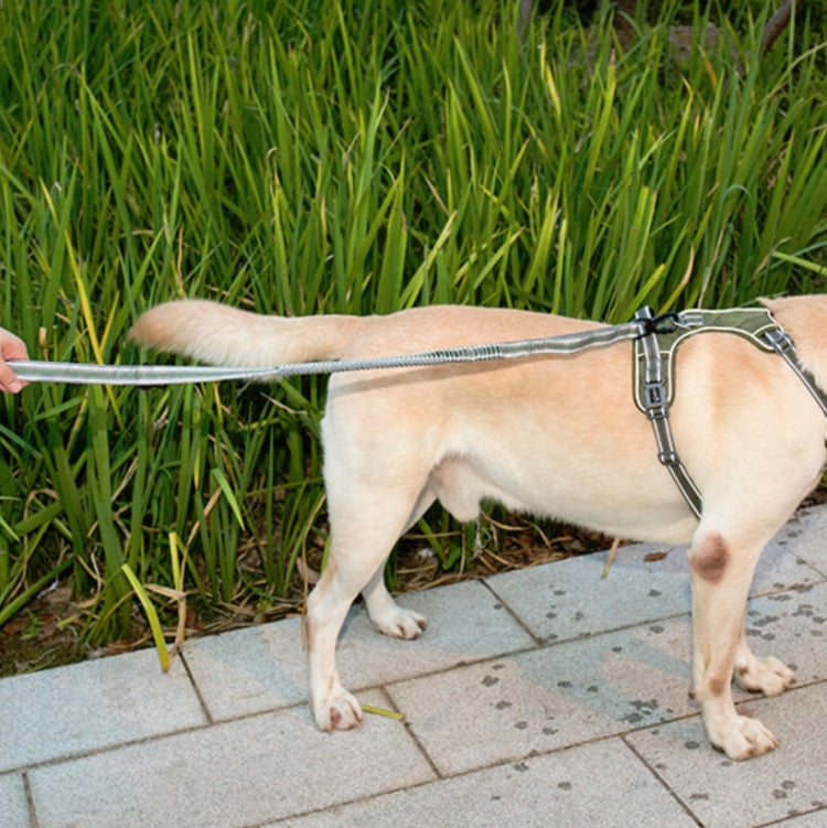 Dog Outdoor Anti-Scourge Traction Rope Nylon Reflective Elastic Stretch Dog Walking Rope, Elastic Stretch Yellow, Elastic Stretch Green