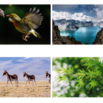 Children Single-Tube Small Astronomical Telescope High-Power High-Definition Science Education Toys, Telescope