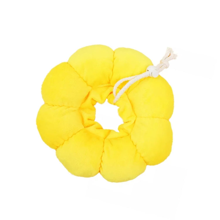 Texte alternatif par défaut