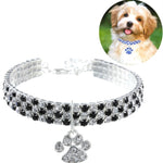 Collier pour animaux de compagnie avec diamant élastique, collier pour chat et chien, bijou