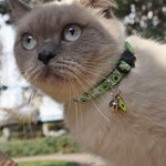 Collier pour chat en sangle avec motif de fruits et accessoires, clochette incluse.