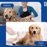 Pet Hair Dryer Cat & Dog Cleaning Electric Comb, US Plug, UK Plug