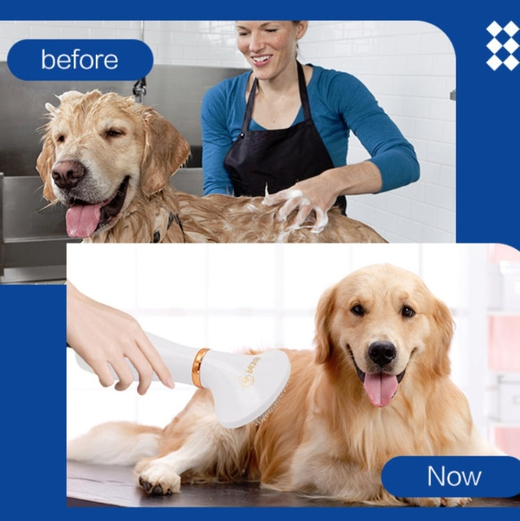 Pet Hair Dryer Cat & Dog Cleaning Electric Comb, US Plug, UK Plug