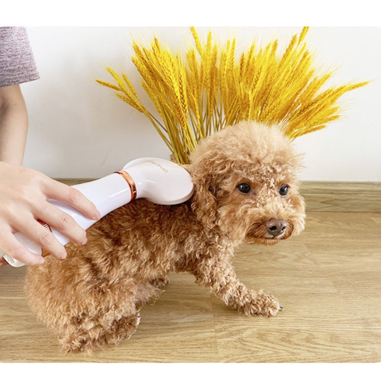 Pet Hair Dryer Cat & Dog Cleaning Electric Comb, US Plug, UK Plug
