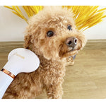 Pet Hair Dryer Cat & Dog Cleaning Electric Comb, US Plug, UK Plug