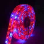 شريط أضواء LED 5م 300 LED SMD 5050 طيف كامل Fitolampy أضواء نمو لبيت زجاجي زراعة مائية، مقاوم للماء