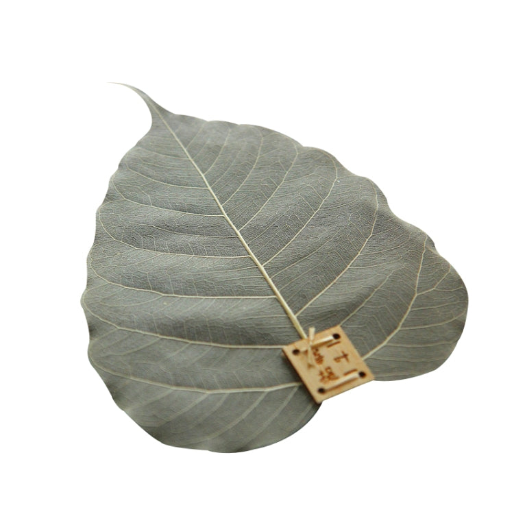 Creative Personality Natural Bodhi Leaf Filter Tea Leak, Bodhi Leaf