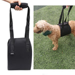HCPET F1905 Assistenzgurte für behinderte Hunde, Gehhilfen für ältere Hunde, Haustierbedarf, S, M, L