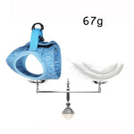 Laisse pour chat, harnais de poitrine pour animaux de compagnie, S