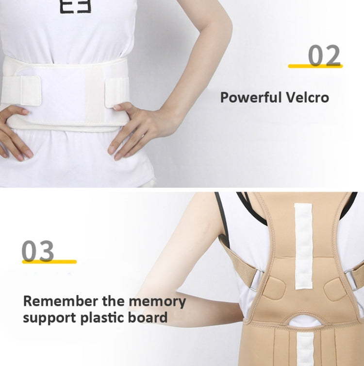 Adult Back Posture Correction Belt Kyphosis Correction Body Restraint Belt, S, M, L, XL, XXL