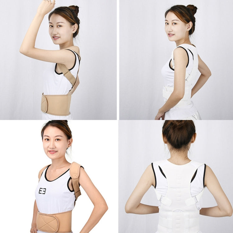 Adult Back Posture Correction Belt Kyphosis Correction Body Restraint Belt, S, M, L, XL, XXL