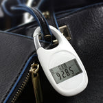 Carabiner Keychain 3D Pedometer, Carabiner