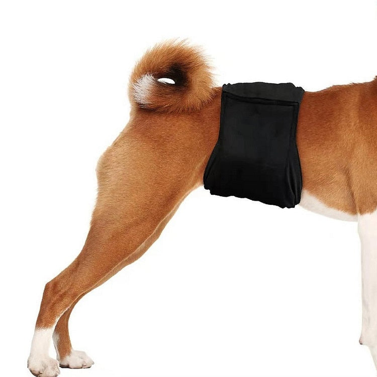 Male Dog Special Courtesy Belt Pet Physiological Pants, XS, S, M, L, XL