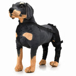 Pet Dog Leg Knee Guard Surgery Injury Protective Cover, XS, S, M