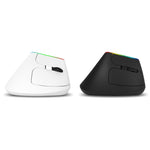 DELUX M618C 6 Keys 1600 DPI RGB Vertical Wireless Bluetooth Dual Mode Mouse, M618C(Black), M618C(White)