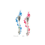 20 PCS Waterproof Flower Arm Tattoo Sticker, SC-529, SC-557, SC-558, SC-559, SC-561, SC-564, SC-551, SC-556, SC-552, SC-553, SC-554, SC-555