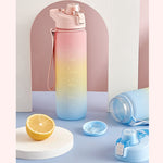 1000ml Large Capacity Gradient ColorsPlastic Sports Water Cup, Cherry Pink, Sky Blue, Silver Gray