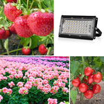 LED Plant Light Full Spectroscopy Waterproof Growth Lamp, Three-wire Access 24 Beads 25W