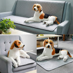 OBL0014 Tapis absorbant pour urine de chien lavable à l'eau, taille :