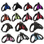 K9 Dog Adjustable Chest Strap, Size:, L, XL