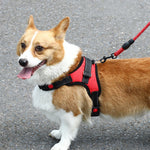 K9 Dog Adjustable Chest Strap, Size:, L, XL
