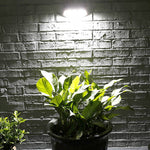 8 LEDs Infrared Induction Solar Garden Wall Light, White Light, Warm Light