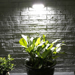 Red Copper Human Body Induction Solar Wall Light, White Light, Warm Light