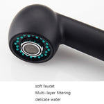 Pull-Out Hot And Cold Telescopic Scrubbed Water Tank Faucet, Copper Chrome, Copper Black, Zinc Alloy Chrome, Zinc Alloy Black