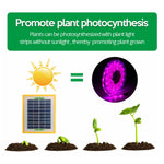 LED Full Spectrum Plant Fill Light Grow Light