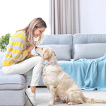 Rose Gold Buckle Pet Detachable Bow Collar, Size:, S 1.5x28-40cm, M 2.0x33-50cm, L 2.5x38-60cm, XL 2.5x43-70cm