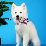 Collier pour chien ajustable avec boucle en métal et motif floral, possibilité de gravure, taille :