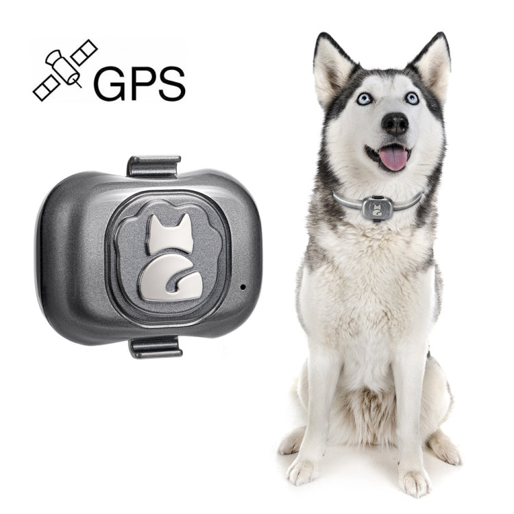 G16 Haustier-GPS-Tracker IP67 wasserdichtes Smart-Halsband mit Anti-Verlust-Funktion für Hunde und Katzen, G16 Haustier-GPS