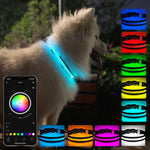 Collier lumineux pour animaux de compagnie à LED rechargeable, résistant à l'usure et étanche, Taille :