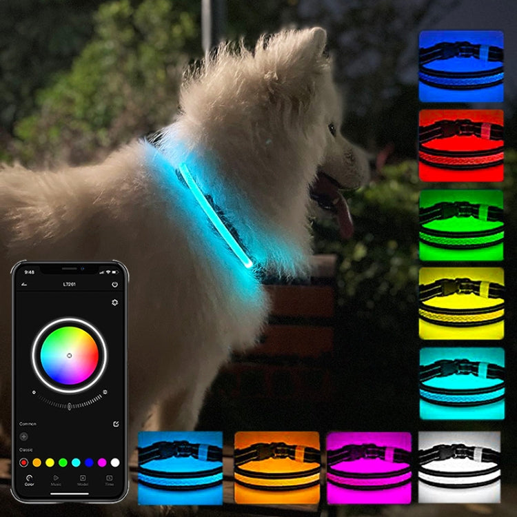 Collier lumineux pour animaux de compagnie à LED rechargeable, résistant à l'usure et étanche, Taille :