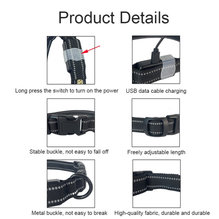 Collier lumineux pour animaux de compagnie à LED rechargeable, résistant à l'usure et étanche, Taille :