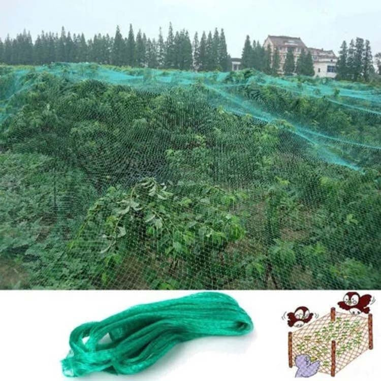 Anti Bird Protection Net Mesh Garden Plant Netting Protect Plants and Fruit, 2Mx10M, 4Mx5M, 4Mx10M, 4Mx12M, 5Mx10M, 5Mx20M, 4Mx15M