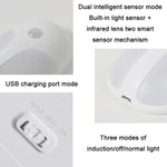 USB Rechargeable Firefly Smart Body Sensor LED Light, White Light