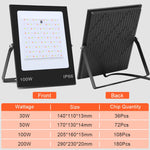 Colorful RGB Changing LED Flood Light With Remote Control, 30W, 100W, 200W