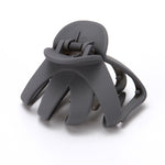 10 PCS Frosted Ladies Coiffure Hair Grab Hair Clip