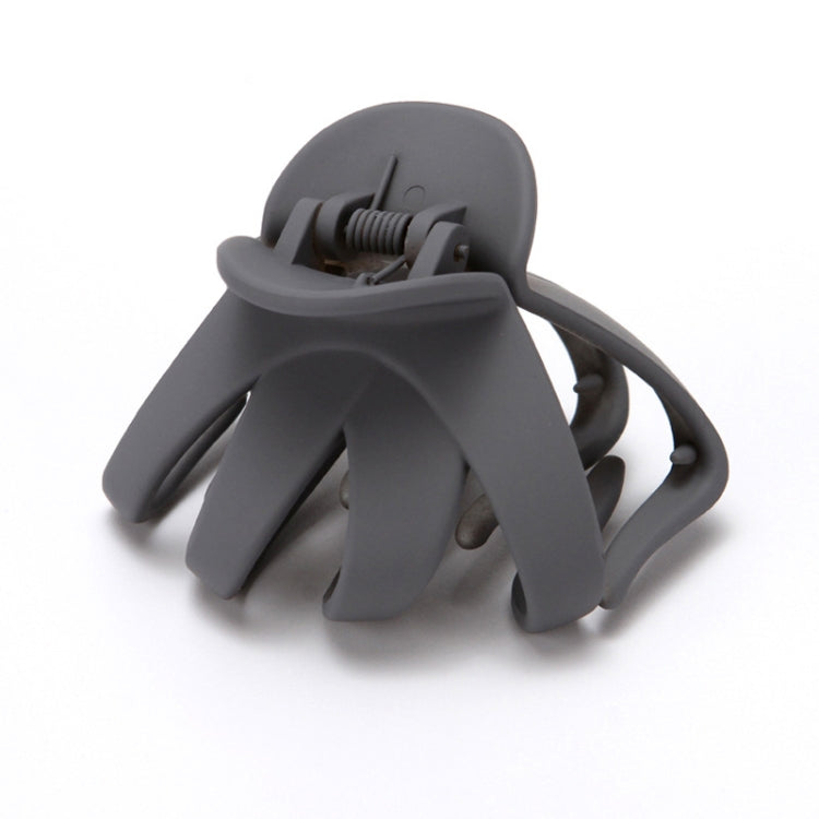 10 PCS Frosted Ladies Coiffure Hair Grab Hair Clip