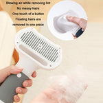 3 in 1 600W Pet Electric High Wind Hair Removal Blowing Combs, Specification:, US Plug 110V, EU Plug 220V, UK Plug 220-240V